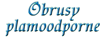 Obrusy plamoodporne